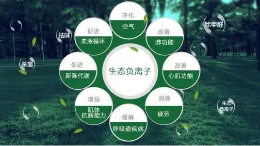 微信圖片_20191211092223.jpg