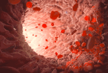 微信圖片_20200715133355.gif